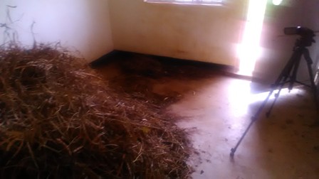 For abandoning staff houses, absenteeism, Lira district to punish health workers