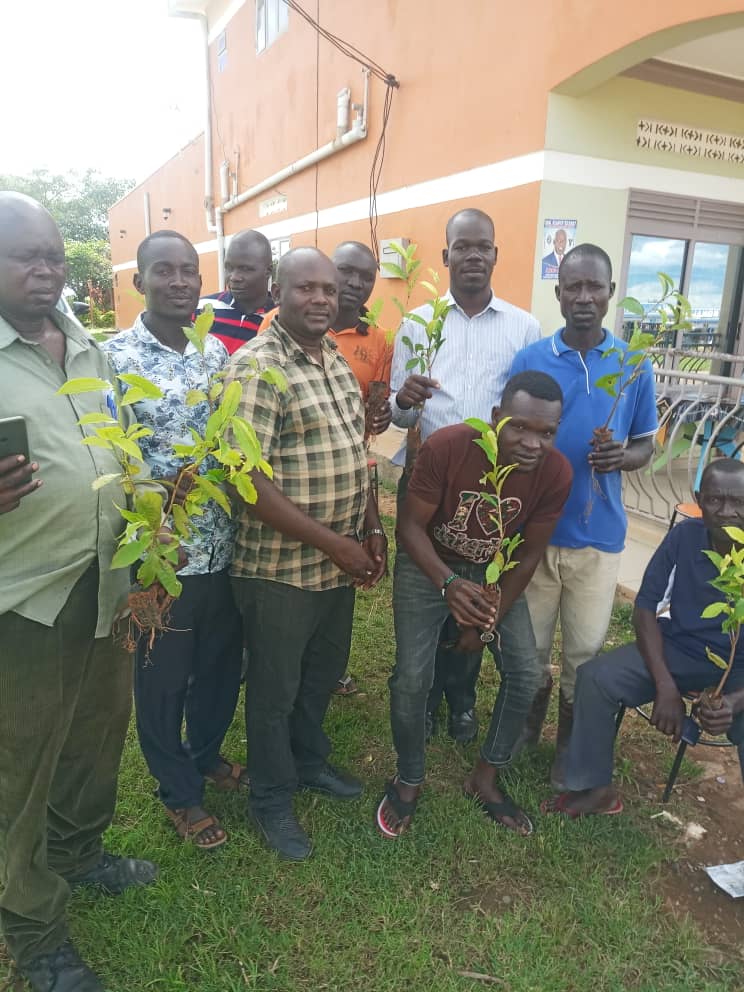 Yet another milestone as Nwoya district sets Monday for tea farming launch