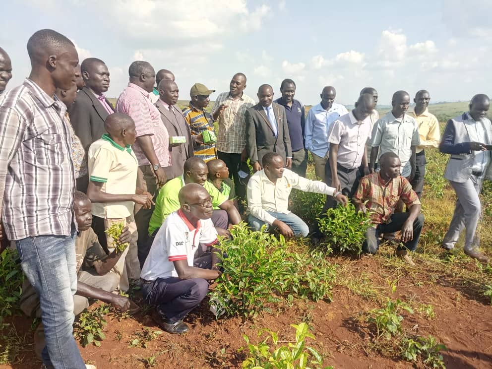 Tea: EFOTI director grateful for overwhelming support in Northern Uganda