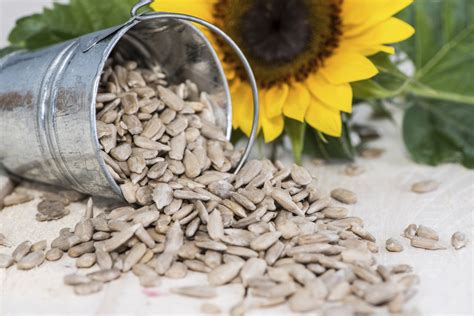 relief seeds