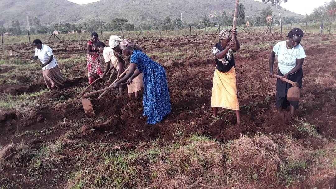 Amolatar prepares farmer groups for a climate-smart agriculture grant