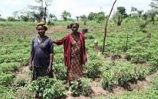 agroecology