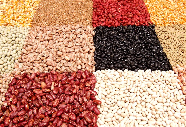 Why beans are key to accelerating a change to our food system