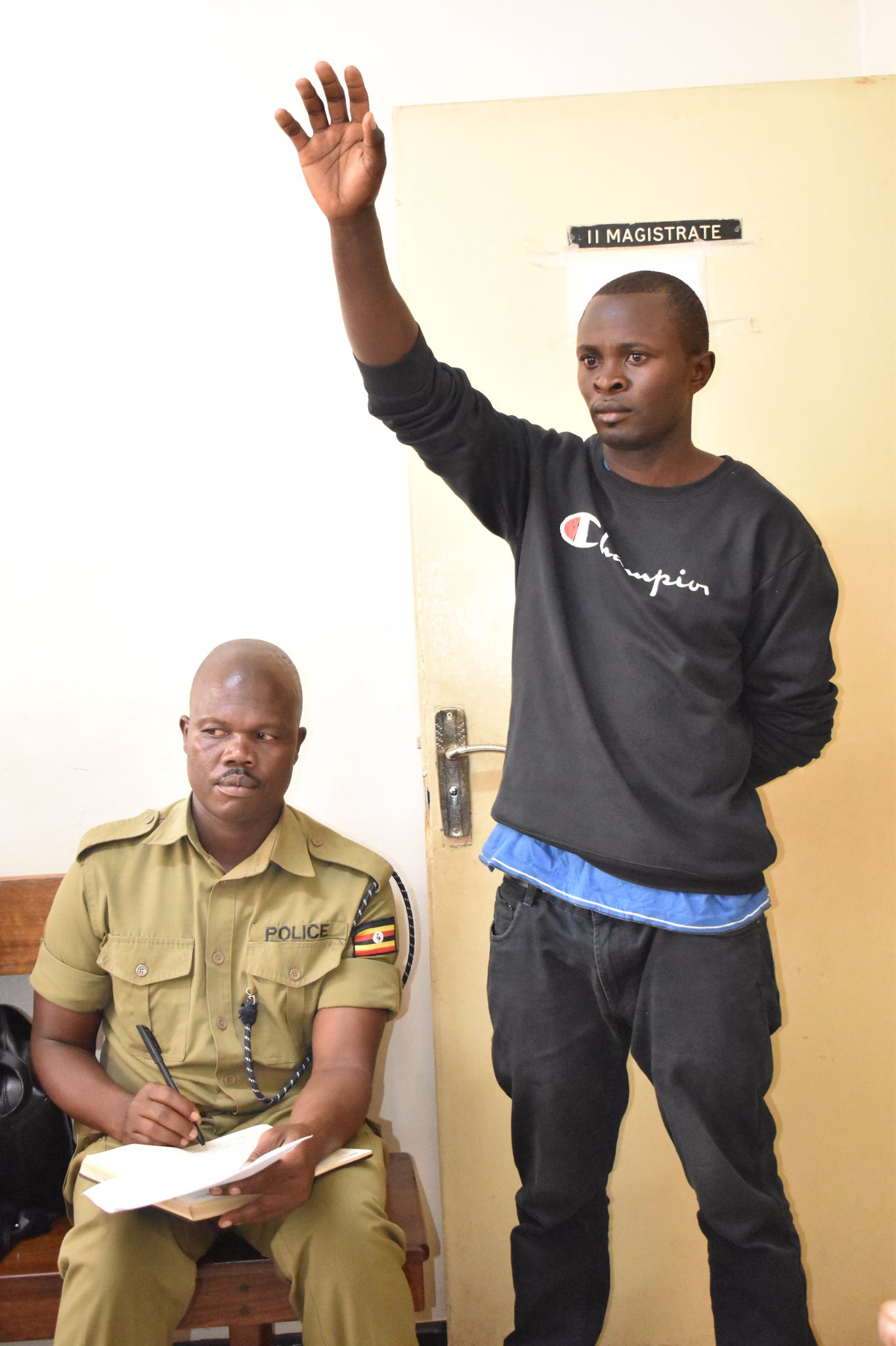 Man netted with 200 pieces of timber cut from Mabira forest arraigned ...