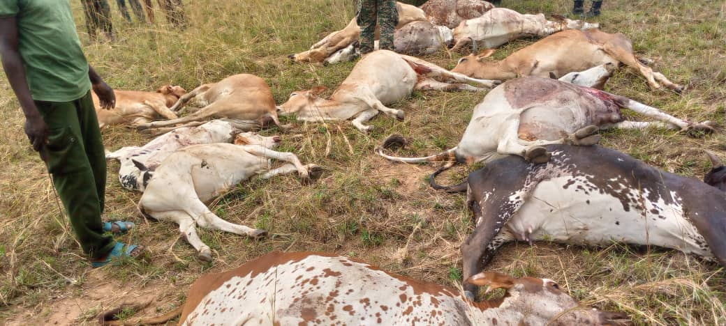 A soldier who shot 18 cows dead in Nakapiripirit to be subjected to health check