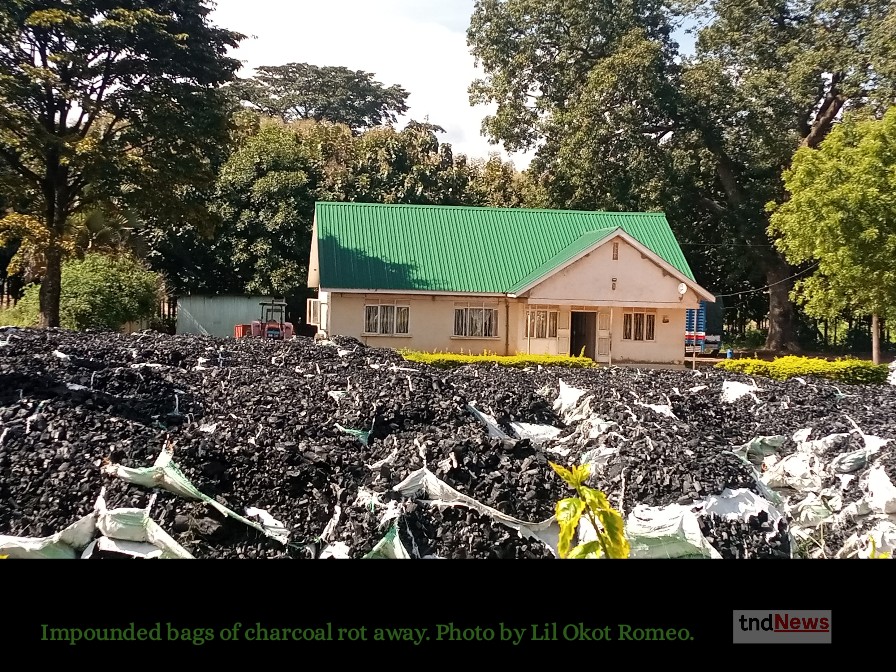 Kwiyucwiny’s order as impounded bags of charcoal rot in Gulu  