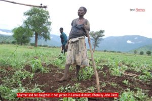 Lamwo farmer