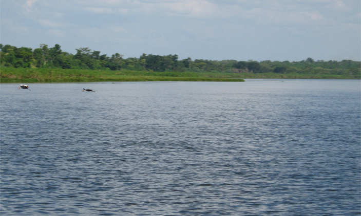 Unidentified man discovered floating in Lake Kyoga