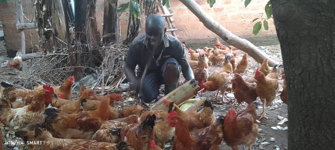 Poultry