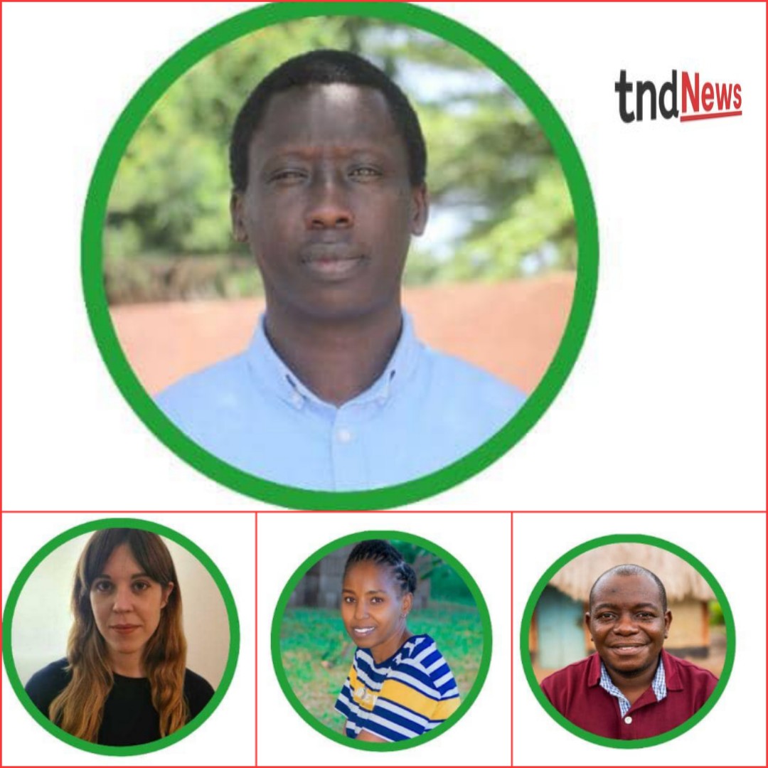 Experts call for urgent investment in Renewable Energy for Africa