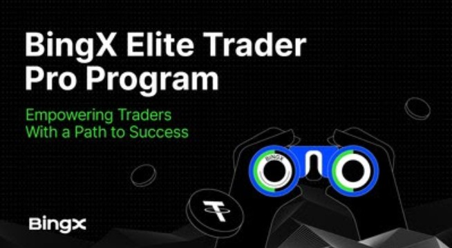 BingX launches “elite trader pro” program: Empowering traders with a path to success