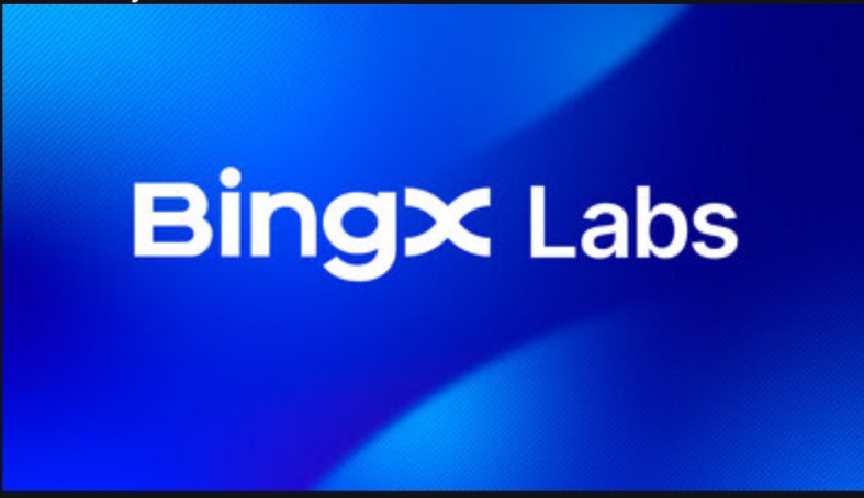 Vivien Lin leads new BingX labs to support promising crypto projects