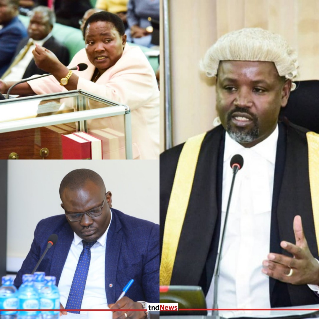 Prime Minister Nabbanja orders review of oilseed road costs project