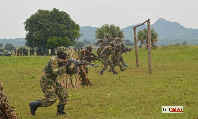 UPDF
