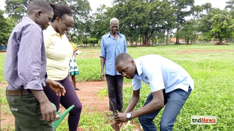 Lira City Council to begin weekly tree planting scheme