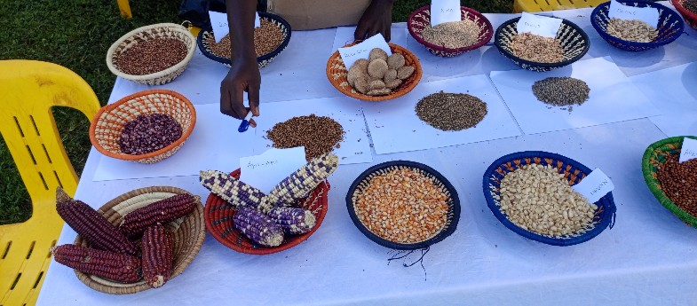Key demands as Lango welcomes ‘Keep Your Land, Keep Your Seed’ campaign