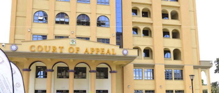 Won Nyaci: Court of Appeal issues hearing procedures and directives