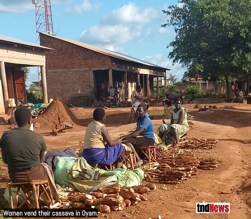Cassava