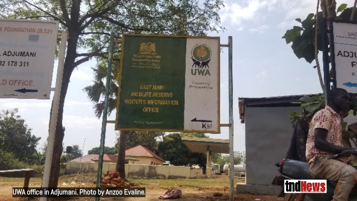 Authorities warn UWA of elephant attacks in Adjumani district