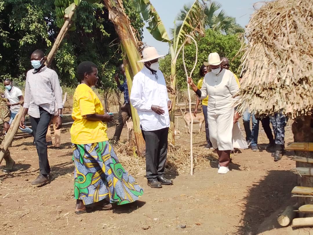 PDM in Lango: Museveni orders rearrest of corrupt officials