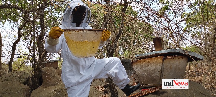 Apiculture