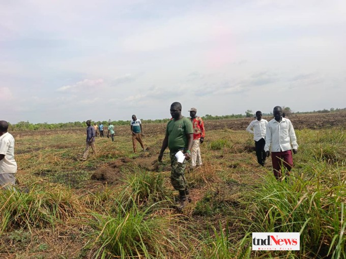 Alebtong to seize farm equipment and animals discovered in wetlands