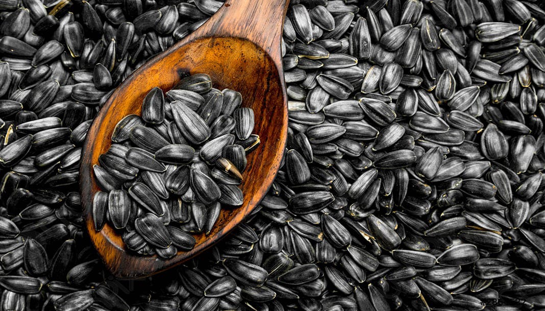 NOSP secretariat provides seeds to farmers in Apac and Kwania