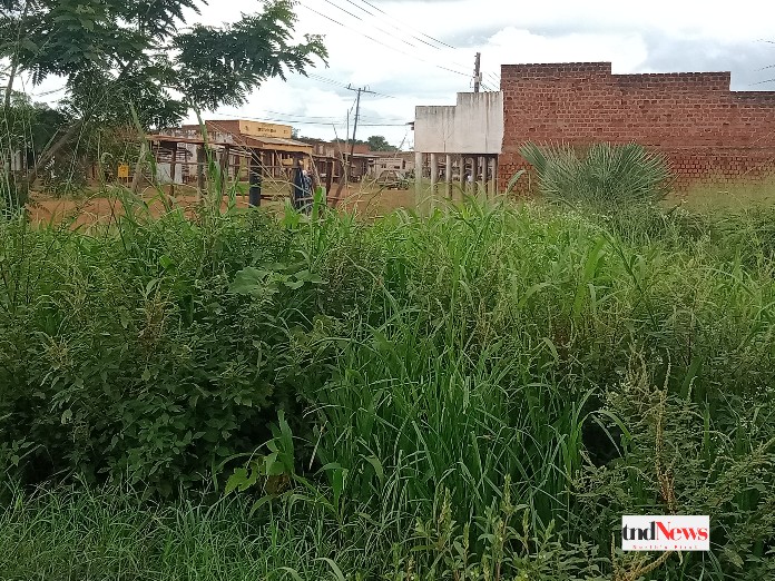 Overgrown bushes threaten health and safety of Padibe town residents