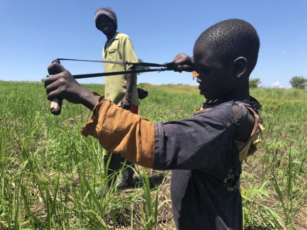 Walking the line, where human-wildlife conflict meets coexistence