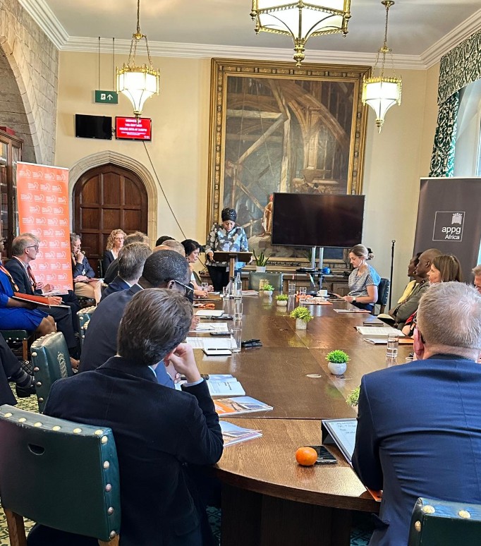 UK can help Africa’s just energy transition