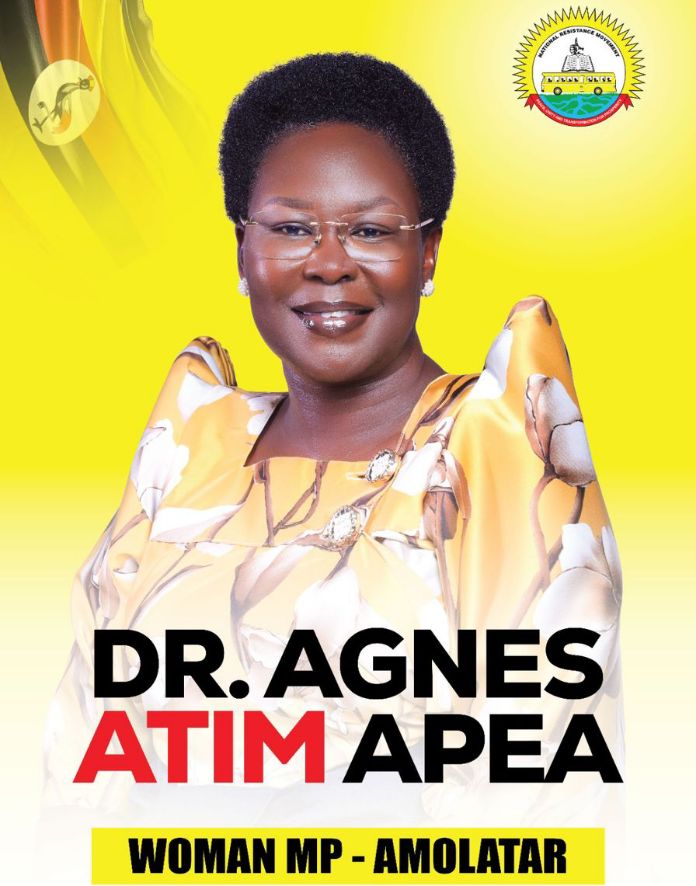 MP Dr. Apea’s pragmatism as she seeks reelection