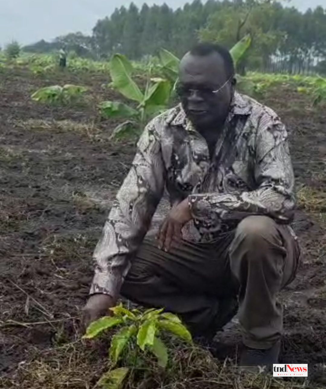 CJ Owiny-Dollo urges Acholi to embrace perennial crop farming for sustainable development