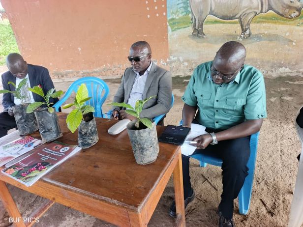 Lango moves to revive coffee farming