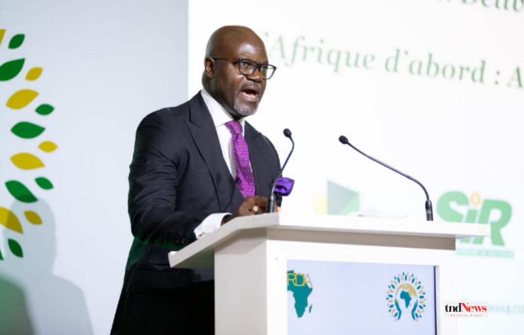Africa’s fuel dependency: A crisis waiting to happen