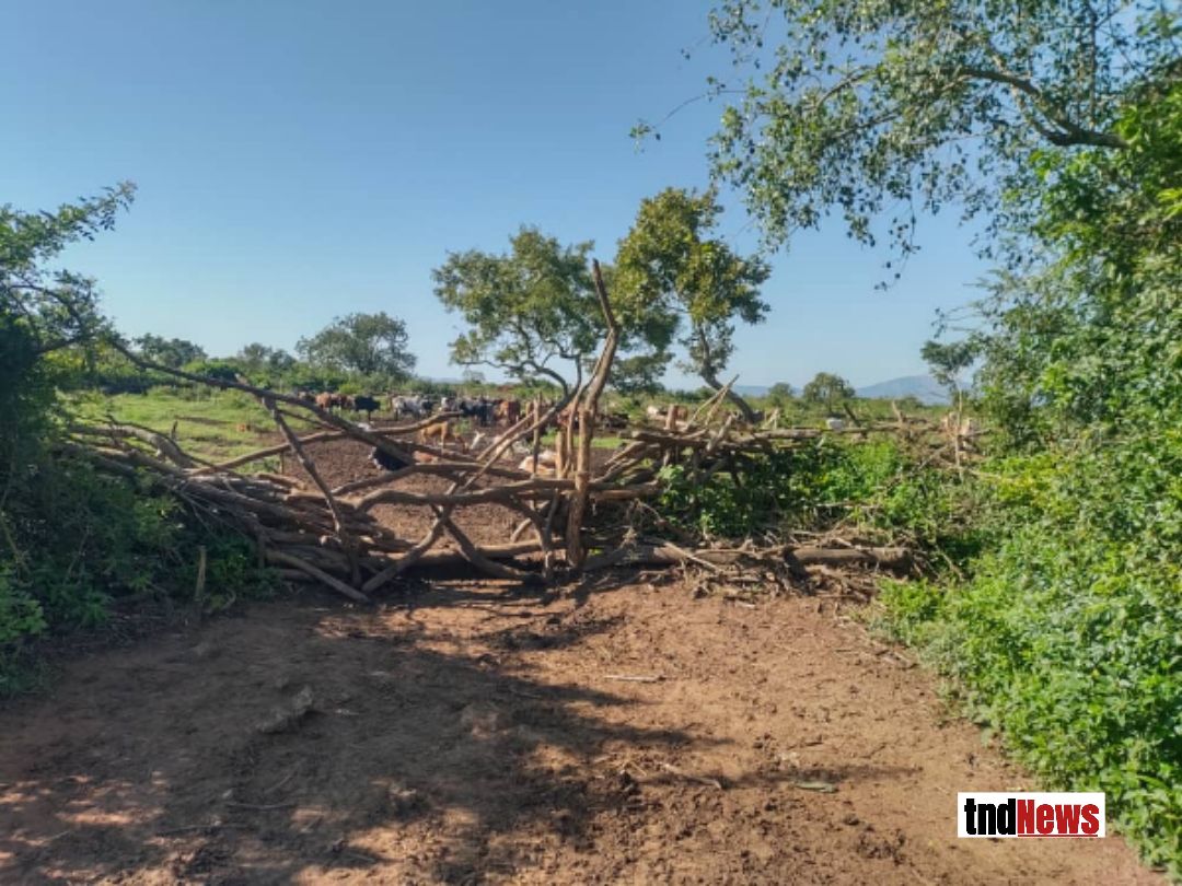 Two men shot dead by soldiers guarding a kraal in Kitgum