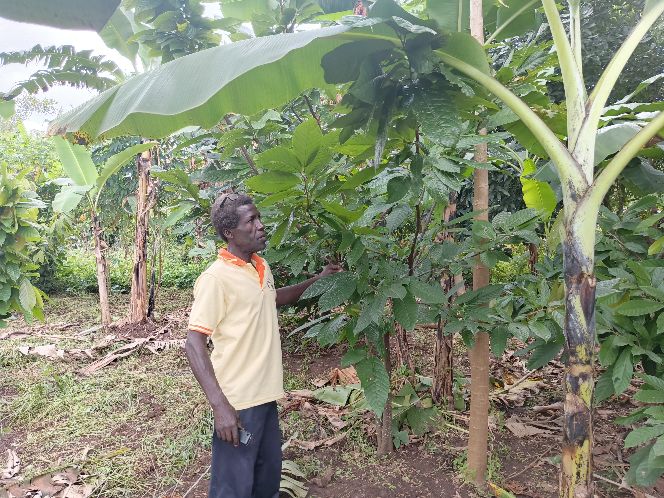 climate smart agriculture