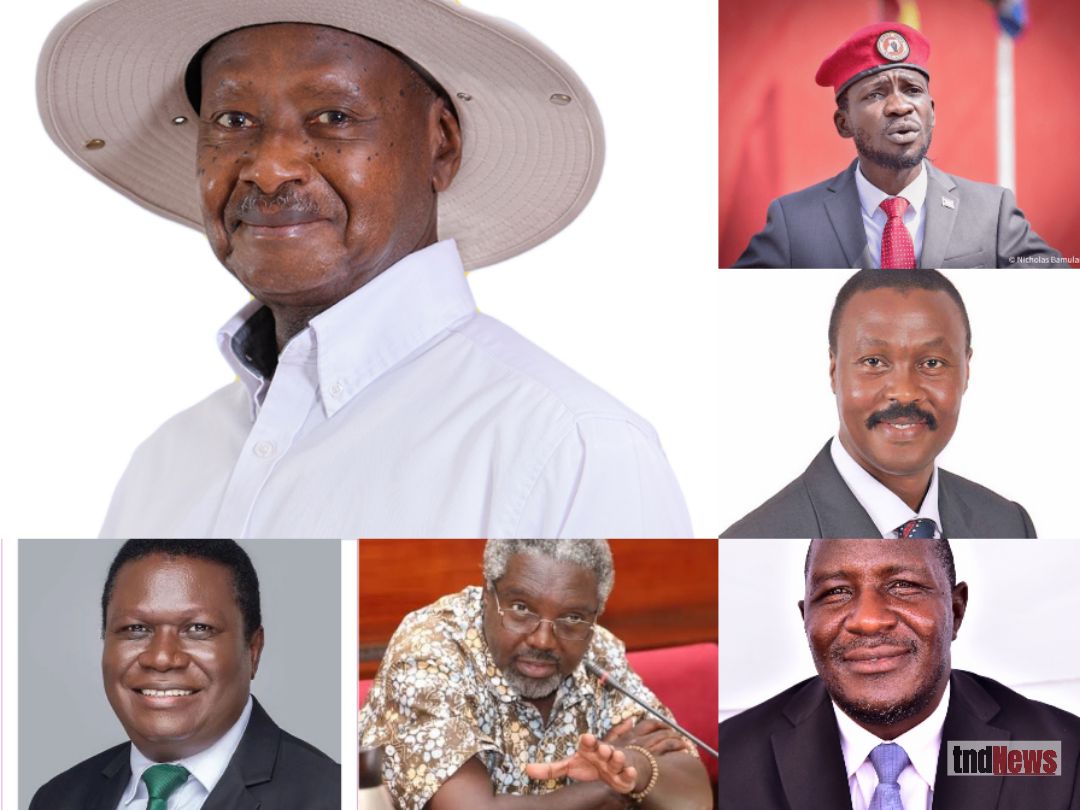 How individual merit politics continues to erode political pluralism in Uganda