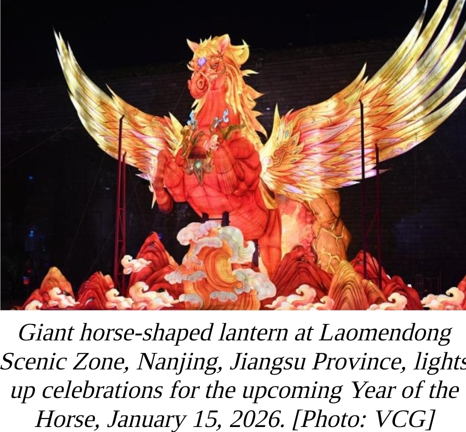 Galloping through cultures: How horses connect humanity