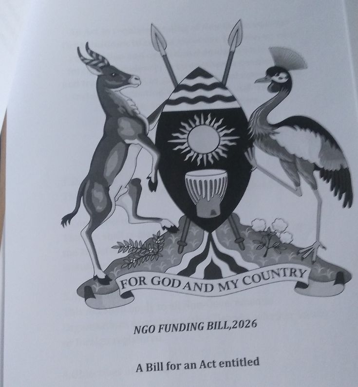 Proposed NGO funding bill’s harsh penalties and funding control