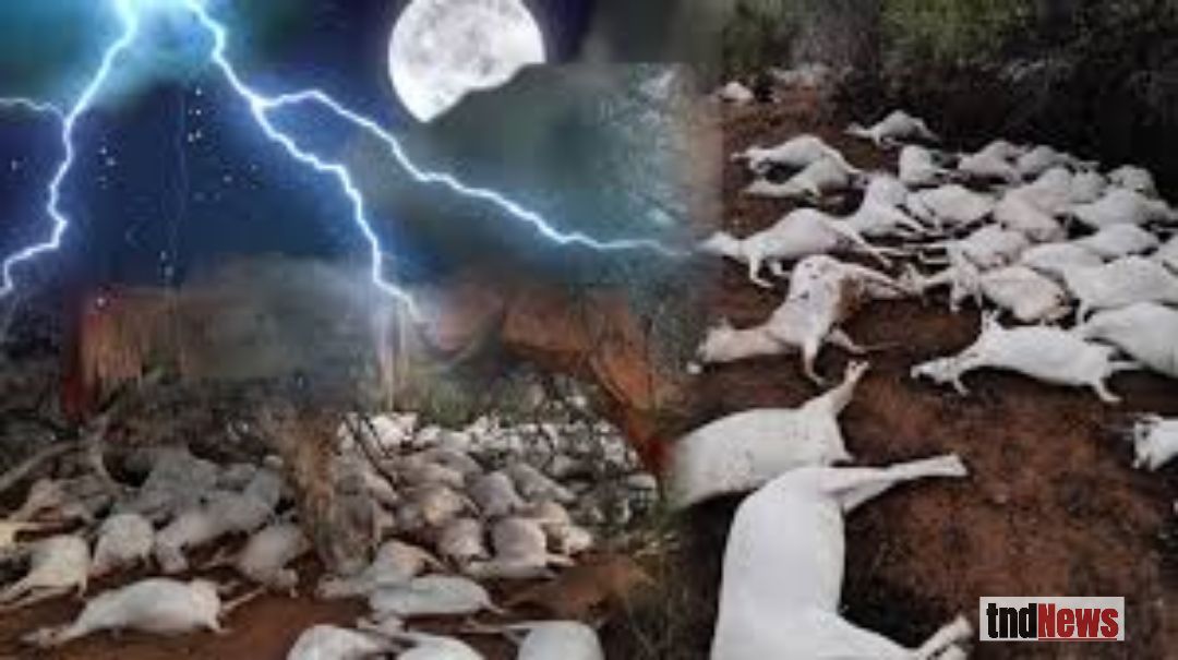 When the sky turns deadly: Communities in Lamwo living in fear of lightning