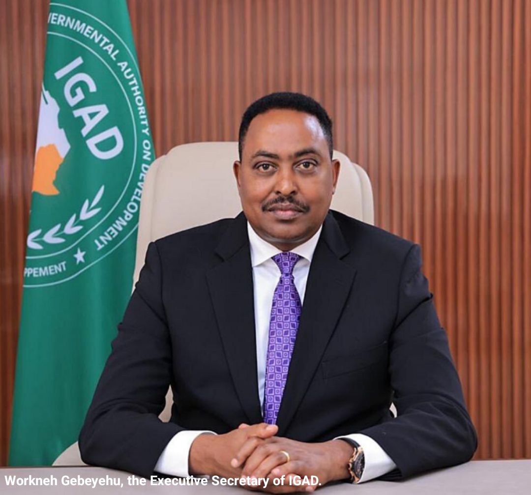 igad