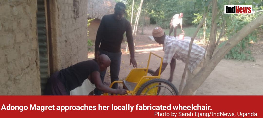 Amolatar’s disabled elder removed from cattle restocking list, UPDF deserter, LCs linked to scandal