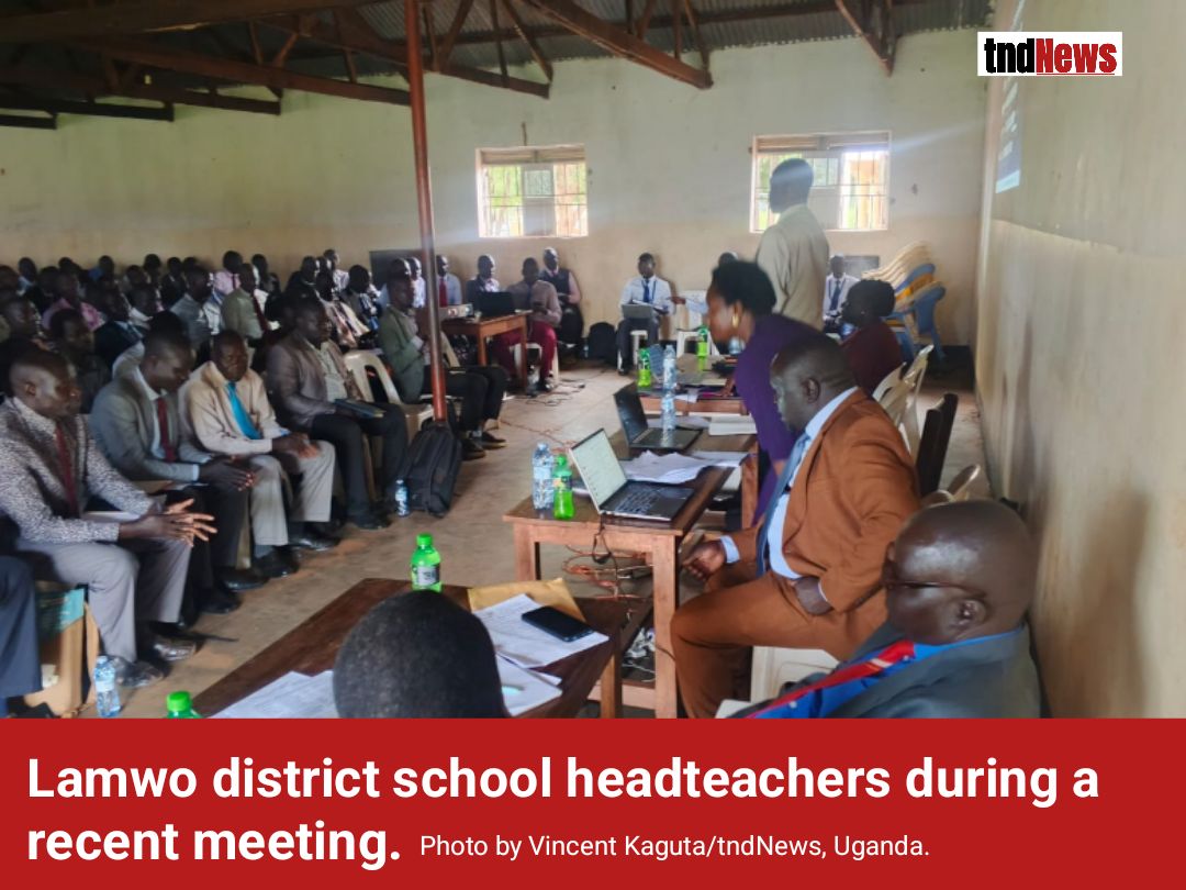 teachers