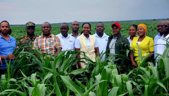 NEC agro farm advised to benchmark in the Netherlands 1 NEC agro farm
