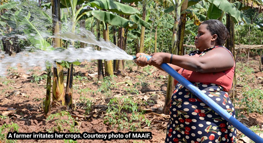 irrigation equipment