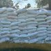 relief food